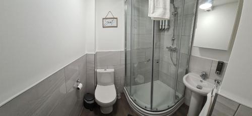 een badkamer met een douche, een toilet en een wastafel bij SAV Apartments Loughborough - 1 Bed Flat in Loughborough