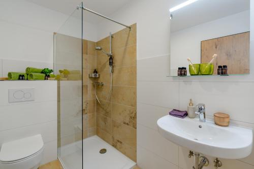 ein Bad mit einer Dusche, einem WC und einem Waschbecken in der Unterkunft Chalet An der Brunnader - Ihr perfekter Rückzugsort in der Bayerischen Toskana in Bad Birnbach