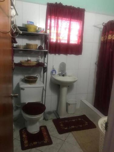 a bathroom with a toilet and a sink at Cozy 2BR/1BA retreat in St.Kitts close to airport in Romneys