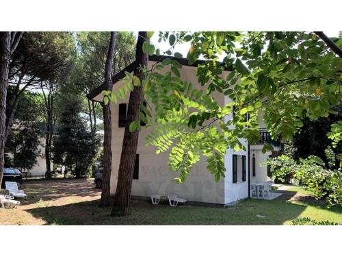 un edificio blanco con un árbol delante en Villa Verde, en Eraclea Mare