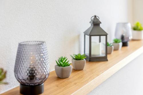 a shelf with potted plants and a lamp on it at Lisas Schröcken in Schröcken