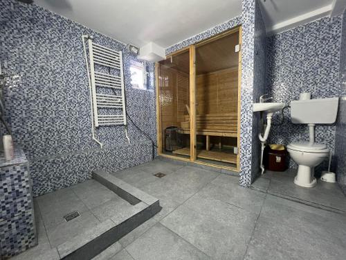 a bathroom with a shower and a toilet in it at Pensiunea Pelican in Tulcea