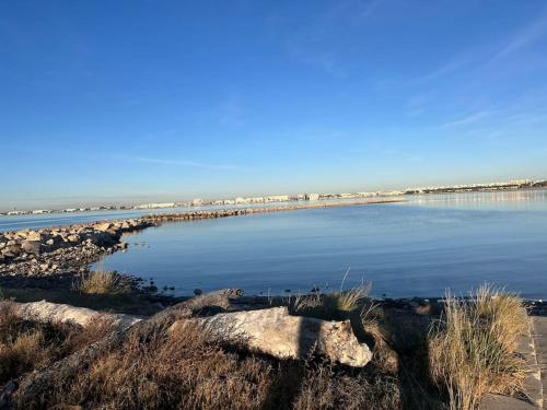 Photo de la galerie de l'établissement Studio - Les pieds dans l'eau & à proximité des commerces., au Grau-du-Roi