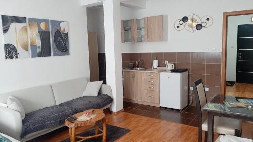 a living room with a couch and a kitchen at Apartman Andrić in Višegrad