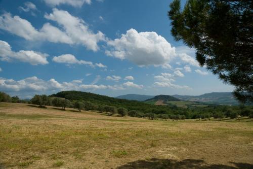 Paisaje cerca de esta villa