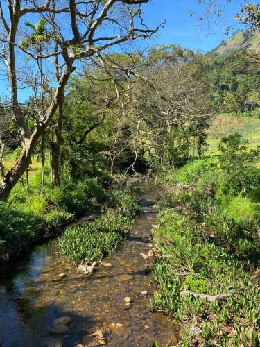 Un paisaje natural cerca del camping