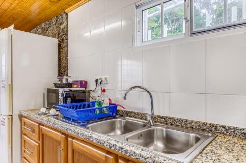 a kitchen with a sink and a refrigerator at Retiro dos Cabritos in São Mateus
