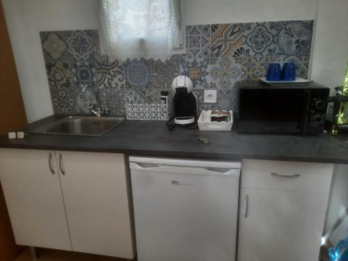 Una encimera de cocina con fregadero y microondas. en Apartamento El Baco entre viñedos, en Arriate