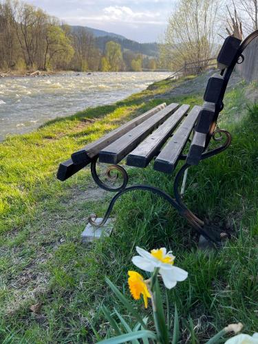 a park bench next to a river with a flower at Котедж Шум Черемоша на березі річки in Verkhovyna
