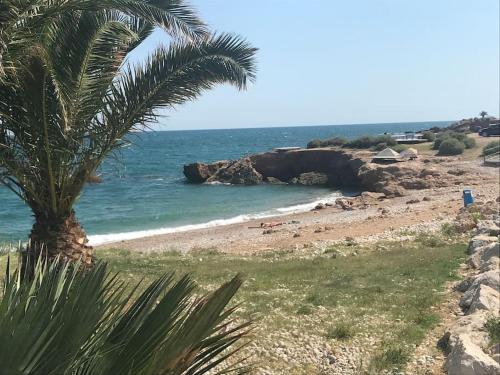a beach with a palm tree and the ocean at Chalet con jardín y parking Vinaros playa in Vinarós