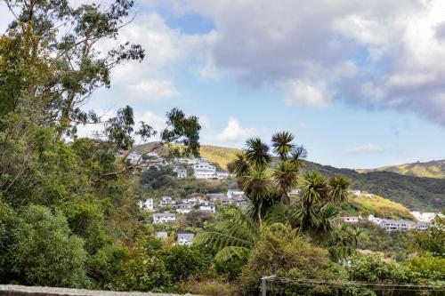 a town on a hill with palm trees and houses at Back Garden Flat with Free On Street Parking and Fiber WIFI - 15 mins to Ferry, Stadium, CBD in Wellington