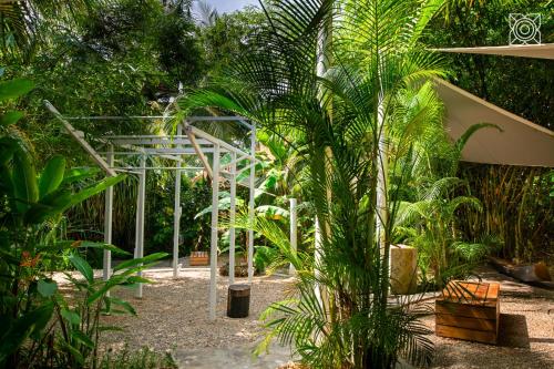 Taman di luar Zuri Zanzibar