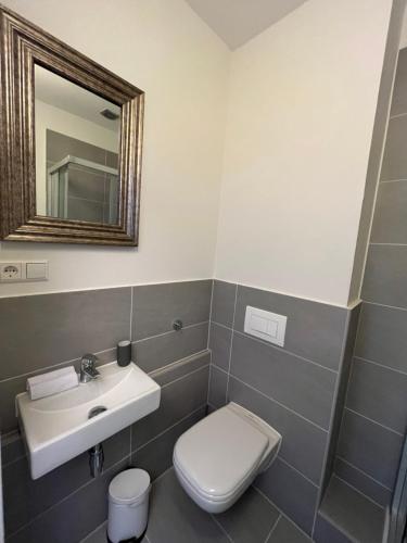 a bathroom with a toilet and a sink and a mirror at King David Garden in Berlin