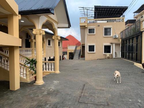 a dog standing in the middle of a courtyard at Luxurious peaceful retreat in Freetown