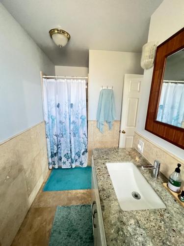 La salle de bains est pourvue d'un lavabo et d'une douche. dans l'établissement A Cottage in Tropical Paradise, à Waimanalo