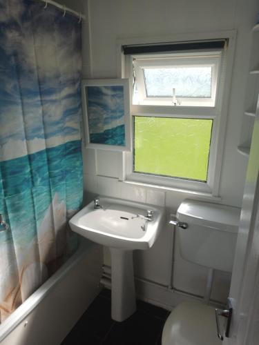 a bathroom with a sink and a toilet and a window at Collier's Corner Chalet California Sands Scratby Great Yarmouth in Scratby