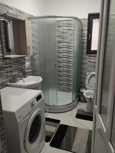 a bathroom with a washing machine and a sink at Casa Bogdan in Borsa