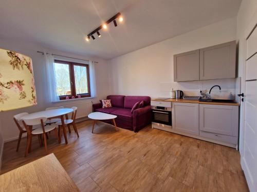 Η κουζίνα ή μικρή κουζίνα στο Apartamenty Mazury