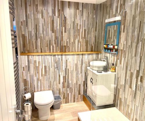 La salle de bains est pourvue de toilettes, d'un lavabo et d'un miroir. dans l'établissement Harbour Lights Apartment New Quay, à New Quay