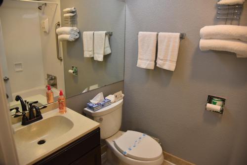 
a bathroom with a toilet a sink and a mirror at Purple Sage Motel in Snyder
