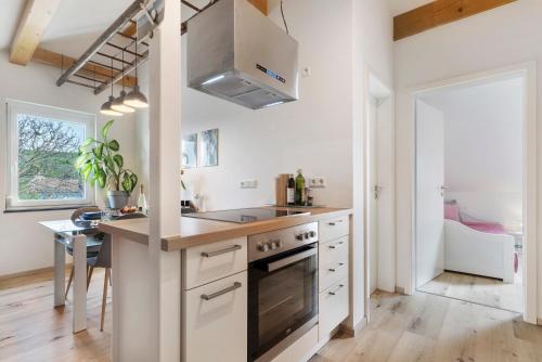 Kuchyň nebo kuchyňský kout v ubytování Ferienwohnung In Der Weinig