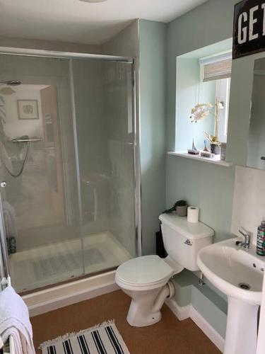 a bathroom with a shower and a toilet and a sink at Pretty cottage near Cirencester in Purton