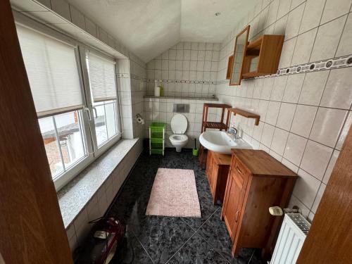 La salle de bains est pourvue d'un lavabo et de toilettes. dans l'établissement Lausitzhof, à Hoyerswerda
