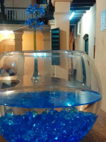 Un cuenco con un jarrón con una flor azul dentro. en Hostal Buenos Aires, en Quito