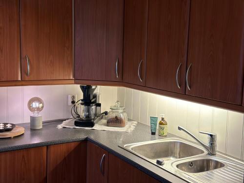 a kitchen counter with a sink and a mixer at Nordbyhuset, et trivelig fritidshus in Skudeneshavn