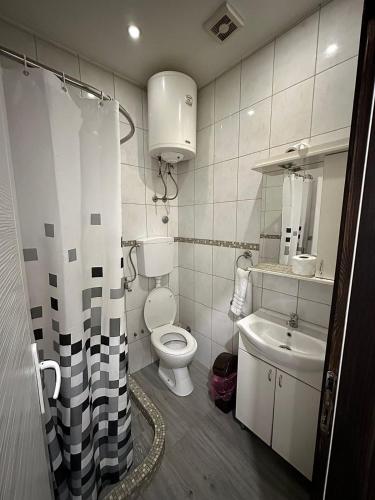 a bathroom with a toilet and a sink at Apartmani Knez in Kruševac