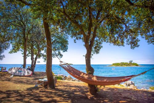 a hammock hanging from trees on a beach at Maistra Camping Valkanela Pitches in Funtana