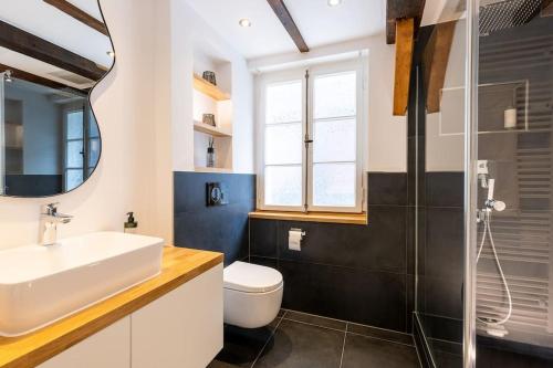 een badkamer met een wastafel, een toilet en een spiegel bij Fachwerk Boutique-Hotel 2 in Hattingen