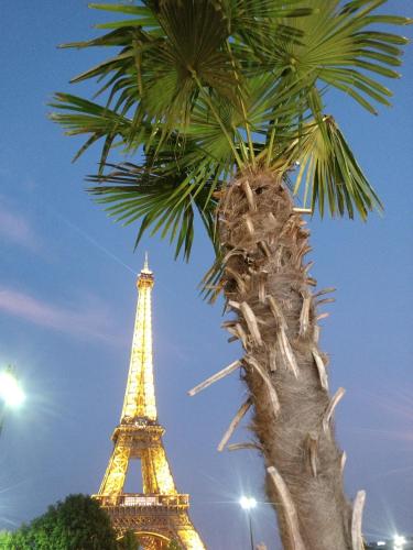 Victor Hugo - Splendid flat near Eiffel Tower