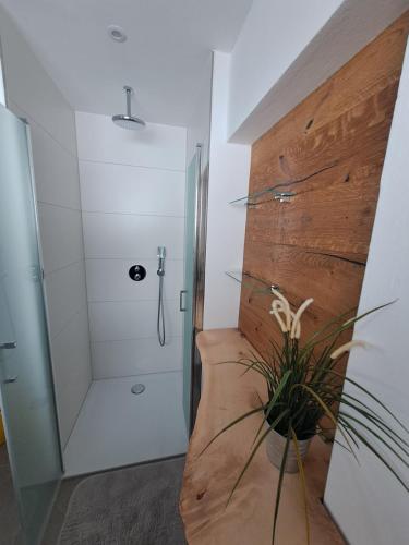 a bathroom with a walk in shower next to a wooden wall at Haus Wallinger in Abtenau