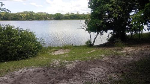 widok na zbiornik wodny z drzewem w obiekcie Quintas da Lagoa Azul w mieście Nísia Floresta