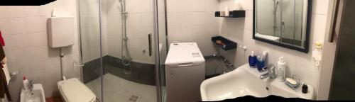 uma casa de banho com um chuveiro, um lavatório e um WC. em Delizioso in Residence sul Garda em Polpenazze del Garda