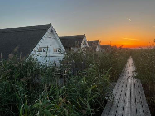 a house on a dock with the sunset in the background at Seehütte Neusiedlersee - Seehaus inklusive Elektroboot in Rust
