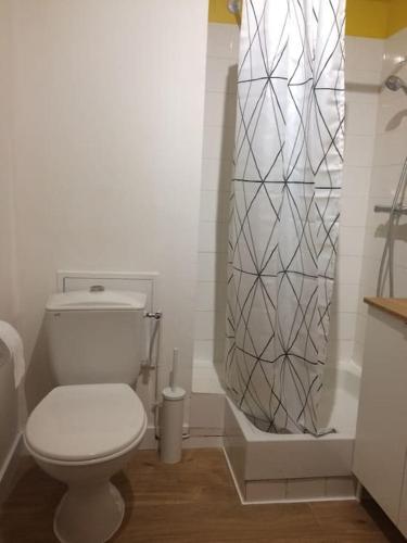 une salle de bain avec toilettes et rideau de douche dans l'établissement Nantes gare , Studio proche Cathédrale / IUT, à Nantes