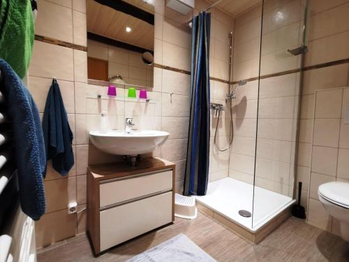 a bathroom with a sink and a shower at Ferienwohnung-Kornkammer in Presen