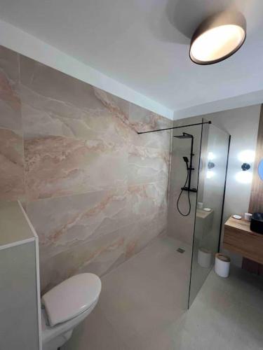 une salle de bain avec toilettes et douche en verre dans l'établissement Magnifique Villa piscine vues mer, lac et montagnes, à Santa-Reparata-di-Balagna