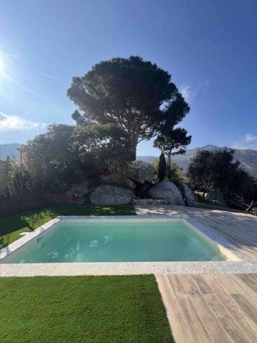 - une piscine dans une cour avec un arbre dans l'établissement Magnifique Villa piscine vues mer, lac et montagnes, à Santa-Reparata-di-Balagna