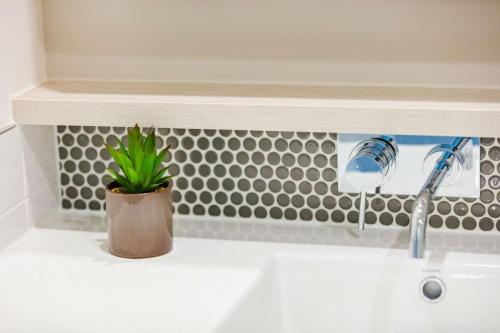 una planta sentada en una encimera junto a un fregadero en Central Location 1BR APT w City view South BNE, en Brisbane