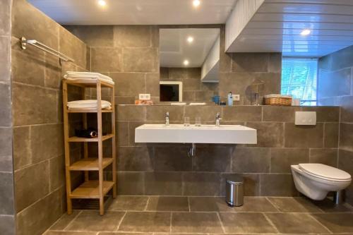 een badkamer met een wastafel en een toilet bij Gezellige vakantieboerderij voor 14 personen in De Lutte