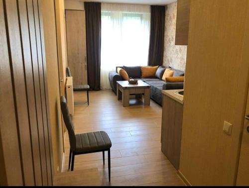 a living room with a couch and a chair at Bakuriani Park Recidence Apartment in Bakuriani