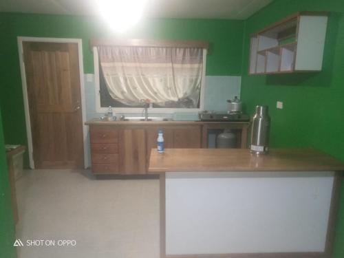 eine Küche mit grünen Wänden, einem Waschbecken und einem Fenster in der Unterkunft Ferafolia Highlands Home Stays in Auki
