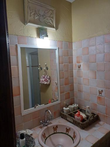 a bathroom with a sink and a mirror at Chambre d hôte Lavande "Au fond du jardin" in Saint-Saturnin-lès-Avignon
