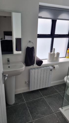 a bathroom with a sink and a mirror at 1 main street athlone in Athlone