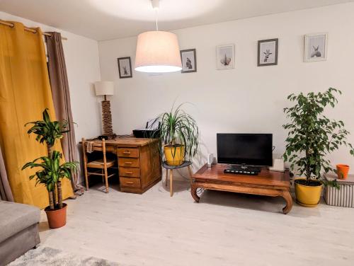 Elle comprend un salon avec une télévision et un bureau orné de plantes. dans l'établissement Appartement cocooning, à Perpignan