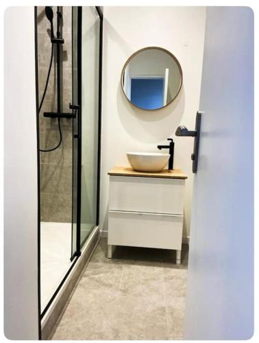 une salle de bain avec un lavabo et un miroir dans l'établissement Le flamboyant, à Angers