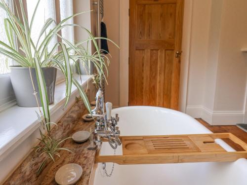 a bathroom with a white bath tub with a potted plant at Red House in Lyme Regis